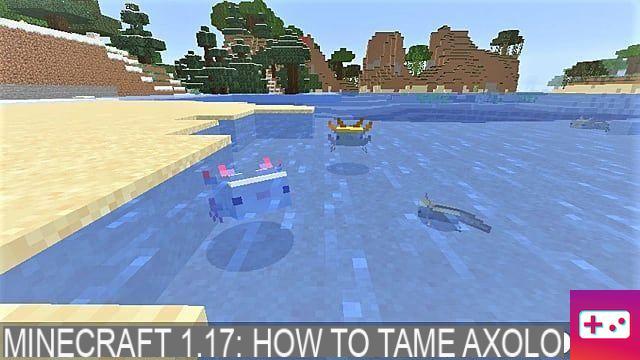 Minecraft 1.17: Cómo domesticar ajolotes en cuevas y acantilados