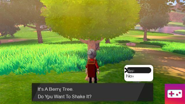Cómo cultivar bayas en Pokémon Sword and Shield