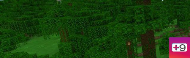 Semillas de la selva de Minecraft (Bedrock y Java)
