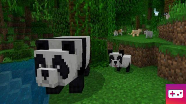 Cómo criar pandas en Minecraft