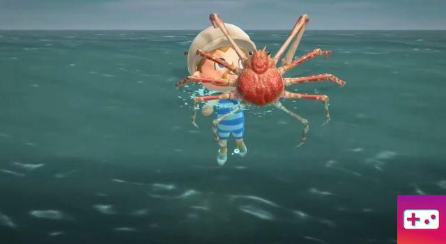 Cómo atrapar un cangrejo araña en Animal Crossing: New Horizons
