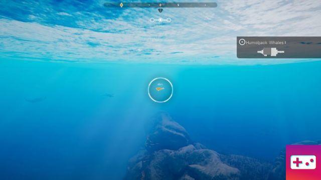 Beyond Blue – Um simulador de exploração oceânica com uma quantidade surpreendente abaixo da superfície