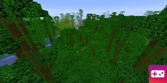 Minecraft Jungle Seeds (Bedrock & Java)