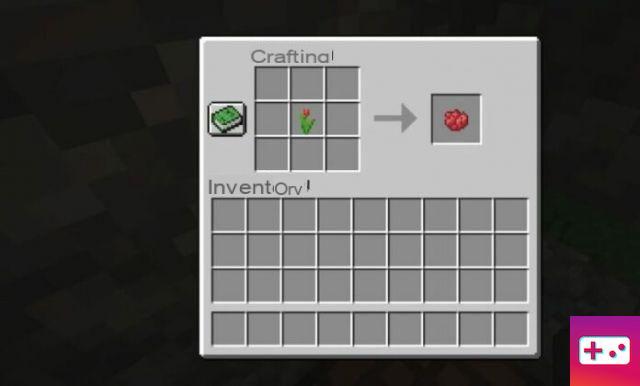 How to Make Red Dye in Minecraft