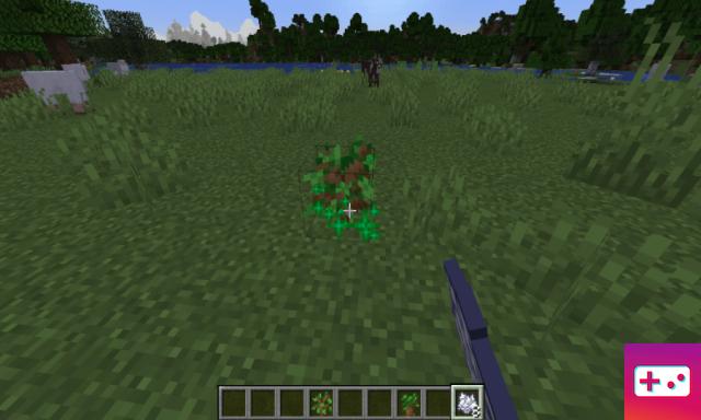 Como fazer as árvores crescerem mais rápido no Minecraft