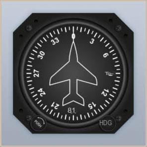 Come diventare un pilota in BitLife - Risposte al test della licenza pilota!