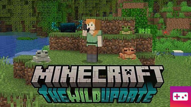 Top 20 Minecraft 1.19.1 Seeds for July 2022