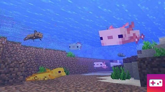 All colors of Axolotl in Minecraft